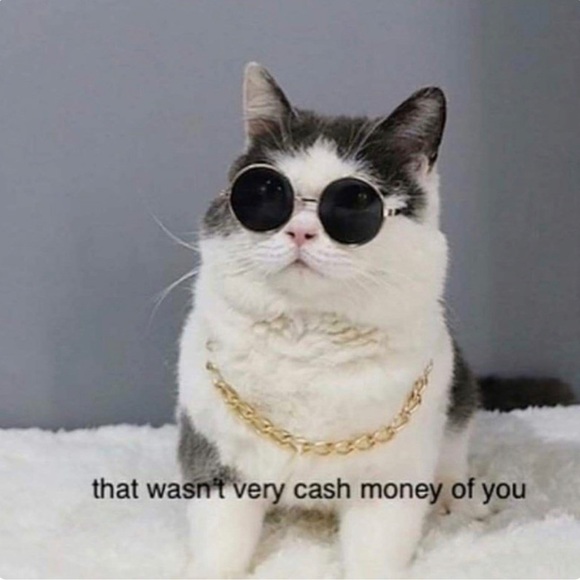 LIVE Every Sunday! 🎫 Tap the ♥️ for LIVE SHOW notifications 🔔 - Picture 8 of 15